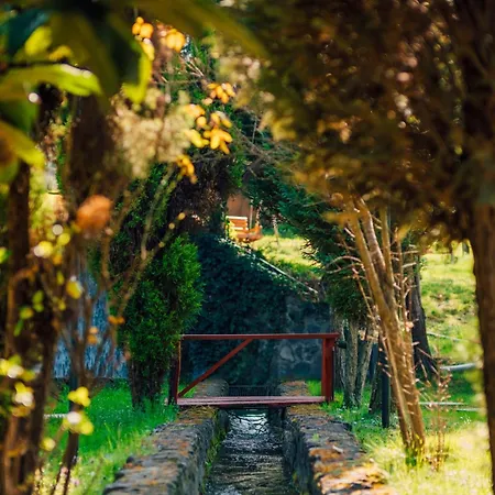 Hypnosapanca Glamping מלון קפסולה ספנג'ה